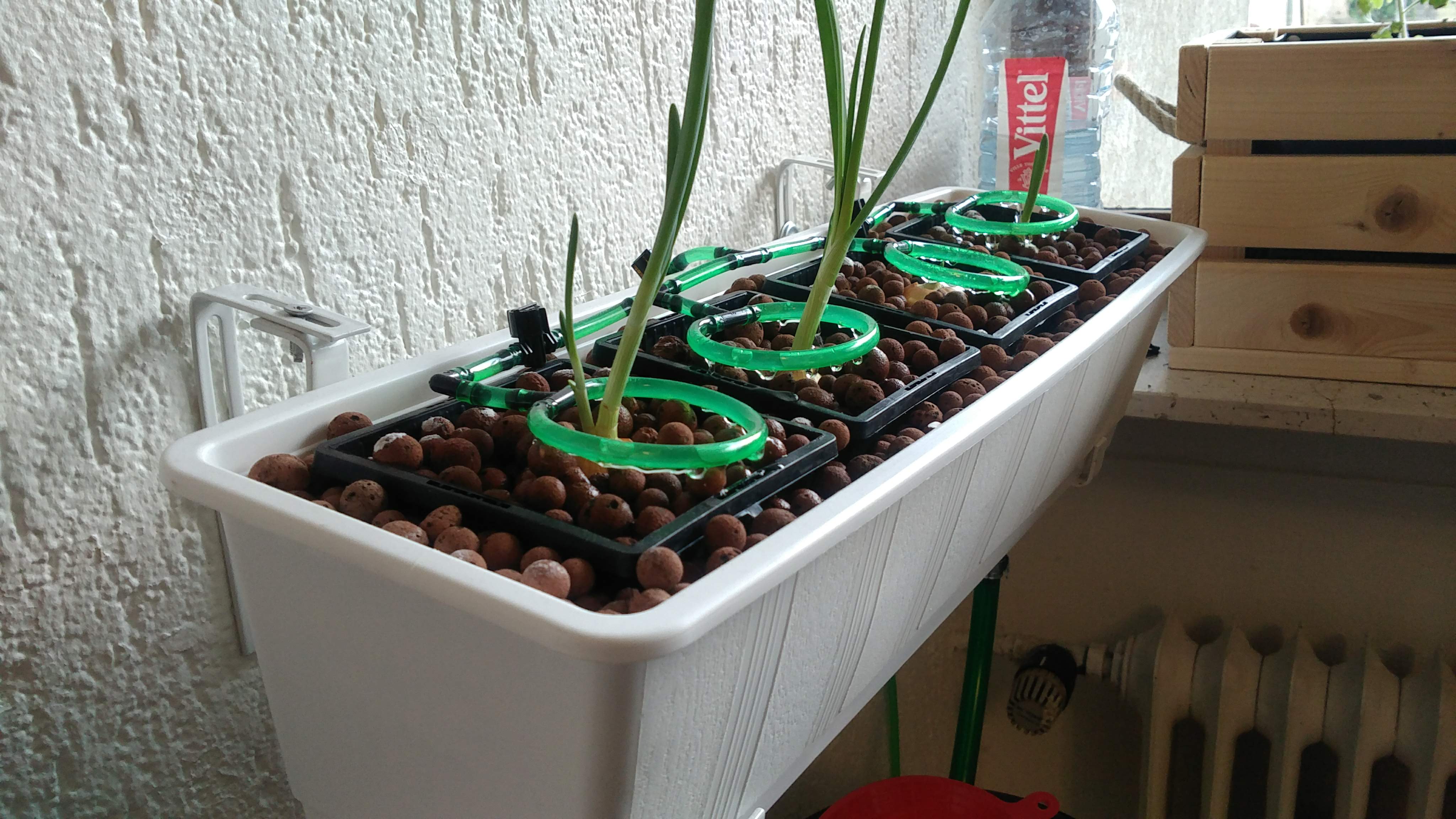 Building a compact hydroponic system at home