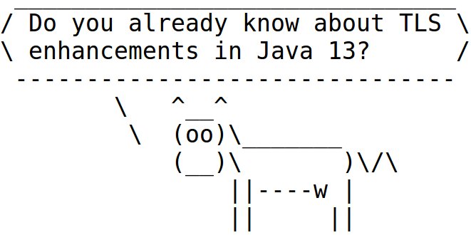 TLS enhancements in Java 13